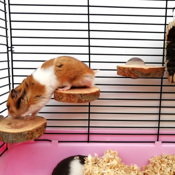 Wooden Pet Tunnel Wood Solid Wood - Image 5