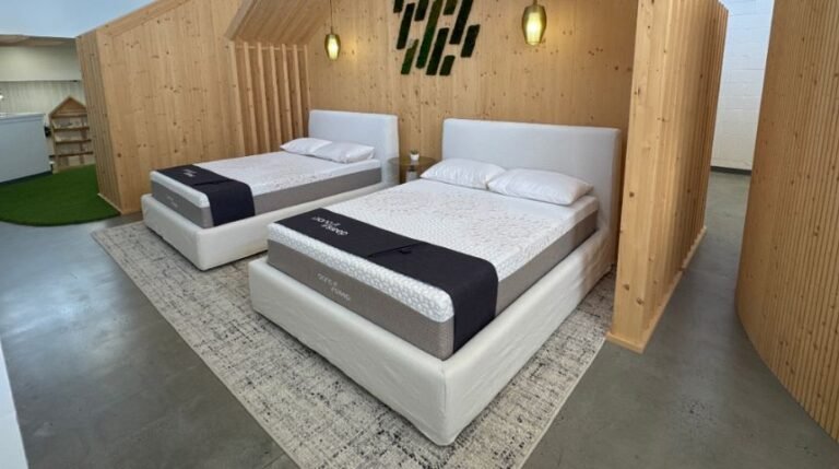 Rogues and Rebels. It is price it for a more healthy planet, says Piana Sleep.