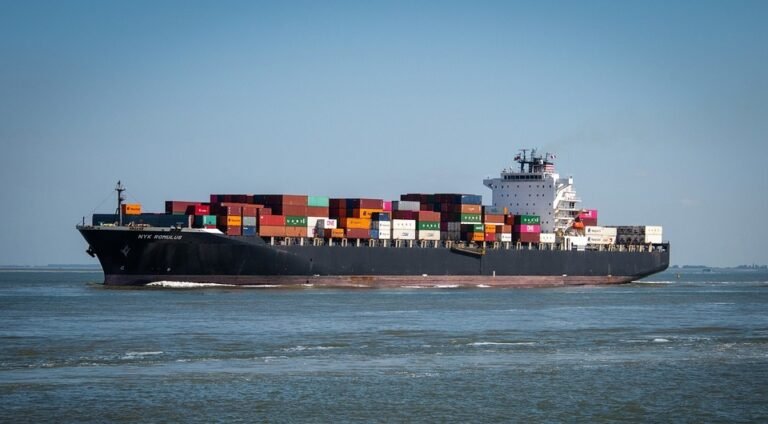 Keep in mind that Chinese language furnishings firm that purchased its personal container ship? Properly, he offered it