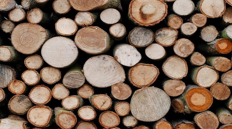 The Trump administration seeks feedback to analyze its wooden, wooden imports