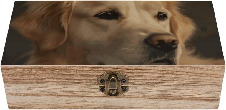Picket Storage Field Golden Retriever Wooden Reward Field with Hinged Lid And Entrance Clasp Personalised Jewellery Field Memento Reminiscence Packing containers Workplace Desk Organizer