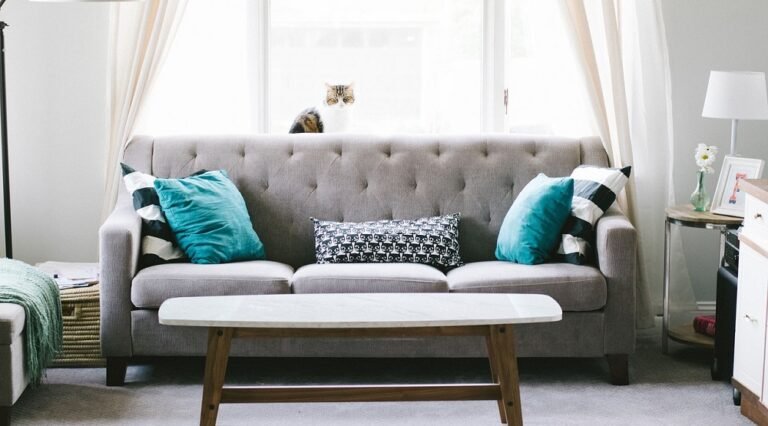 Furnishings orders in January 3 % YOY drops, however are rising from December
